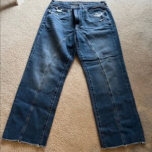 American Eagle Outfitters Dark Blue Straight Leg Jeans